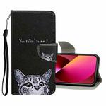 Colored Drawing Pattern Flip Leather Case For iPhone 13(Little Cat)