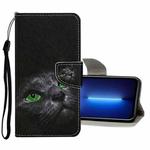For iPhone 13 Pro Max Colored Drawing Pattern Flip Leather Case (Black Cat)