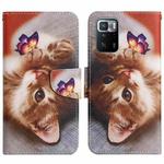 For Xiaomi Redmi Note 10 Pro 5G Painted Pattern Flip Leather Phone Case(Butterfly Cat)