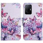 For Xiaomi Mi 11T Painted Pattern Flip Leather Phone Case(Bright Butterfly)