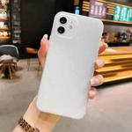 For iPhone 12 Pro Radiating Frosted PP Phone Case(White)