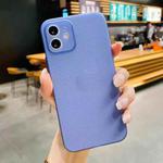 For iPhone 12 Pro Max Radiating Frosted PP Phone Case(Blue)