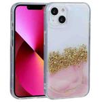For iPhone 13 DFANS DESIGN Dual-color Starlight Shining Phone Case(Pink)