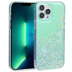 For iPhone 13 Pro Max DFANS DESIGN Snowflake Starlight Shining Phone Case (Green)