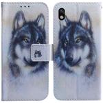 For Sony Xperia Ace III Coloured Drawing Leather Phone Case(White Wolf)