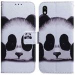 For Sony Xperia Ace III Coloured Drawing Leather Phone Case(Panda)