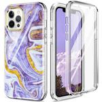 For iPhone 12 Pro Max 360 Full Body Painted Phone Case(Marble L14)