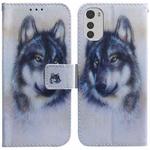 For Motorola Moto E32 Coloured Drawing Leather Phone Case(White Wolf)