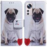 For Xiaomi 12 Lite Coloured Drawing Leather Phone Case(Pug)