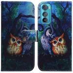 For Motorola Edge 30 Coloured Drawing Leather Phone Case(Oil Painting Owl)