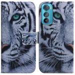 For Motorola Edge 30 Coloured Drawing Leather Phone Case(Tiger)