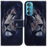 For Motorola Edge 30 Coloured Drawing Leather Phone Case(Lion)