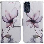 For Motorola Moto G 2022 Coloured Drawing Leather Phone Case(Magnolia Flower)