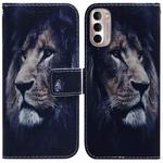 For Motorola Moto G Stylus 4G 2022 Coloured Drawing Leather Phone Case(Lion)