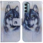 For Motorola Moto G Stylus 5G 2022 Coloured Drawing Leather Phone Case(White Wolf)