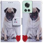 For OnePlus 10R / Ace Coloured Drawing Leather Phone Case(Pug)
