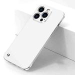 For iPhone 13 Pro Electroplating Frosted Frameless Phone Case (White)
