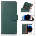 For iPhone 14 Pro Litchi Texture Horizontal Flip Leather Phone Case (Green)