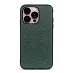 For iPhone 14 Pro Max Litchi Texture Genuine Leather Phone Case (Green)