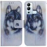 For Infinix Hot 12i Coloured Drawing Leather Phone Case(White Wolf)