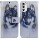 For Motorola Moto G52J Japan Version Coloured Drawing Leather Phone Case(White Wolf)