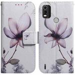 For Nokia C21 Plus Coloured Drawing Leather Phone Case(Magnolia Flower)