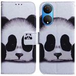 For Honor X7 Coloured Drawing Leather Phone Case(Panda)