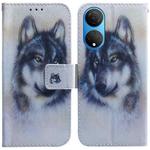 For Honor X7 Coloured Drawing Leather Phone Case(White Wolf)
