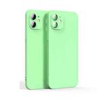 For iPhone 12 Lens Glass Film Liquid State Phone Case(Green)