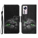 For Xiaomi 12 Lite Colored Drawing Pattern Flip Leather Phone Case(Black Cat)