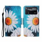 For Xiaomi Poco X4 Pro 5G Colored Drawing Pattern Flip Leather Phone Case(Chrysanthemum)