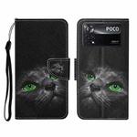 For Xiaomi Poco X4 Pro 5G Colored Drawing Pattern Flip Leather Phone Case(Black Cat)