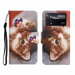 For Xiaomi Poco X4 Pro 5G Colored Drawing Pattern Flip Leather Phone Case(Butterfly Cat)