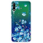 For Huawei Enjoy 10 Lucency Painted TPU Protective Case(Statice)