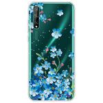 For Huawei Enjoy 10s Lucency Painted TPU Protective Case(Statice)