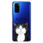 For Huawei Honor V30 Lucency Painted TPU Protective Case(Cat)