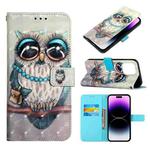 For iPhone 14 Pro 3D Painting Horizontal Flip Leather Phone Case(Grey Owl)