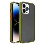 For iPhone 14 Pro Translucent Skin Feel Frosted Phone Case(Green)