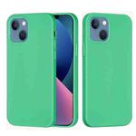For iPhone 14 Solid Color Silicone Phone Case (Green)