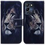 For Infinix Note 12 G96/X670 Coloured Drawing Leather Phone Case(Lion)