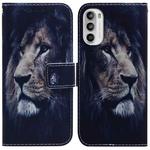 For Motorola Moto G62 5G Coloured Drawing Leather Phone Case(Lion)