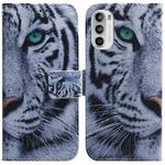 For Motorola Moto G62 5G Coloured Drawing Leather Phone Case(Tiger)