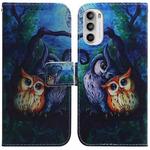 For Motorola Moto G62 5G Coloured Drawing Leather Phone Case(Oil Painting Owl)