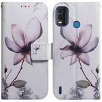 For Nokia G11 Plus Coloured Drawing Leather Phone Case(Magnolia Flower)