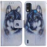 For Nokia G11 Plus Coloured Drawing Leather Phone Case(White Wolf)