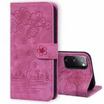 For Samsung Galaxy S20 FE 5G / S20 FE Cartoon Sakura Cat Embossed Leather Phone Case(Rose Red)