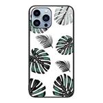 For iPhone 14 Pro Max Colorful Painted Glass Phone Case (Banana Leaf)