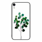 For iPhone XR Colorful Painted Glass Phone Case(Sapling)