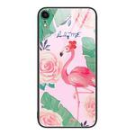 For iPhone XR Colorful Painted Glass Phone Case(Flamingo)