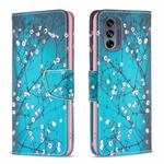 For Motorola Moto G62 Colored Drawing Pattern Leather Phone Case(Plum Blossom)